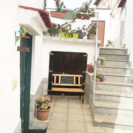 Amalfi Coast Casa Vacanze Marino Tramonti Eksteriør billede