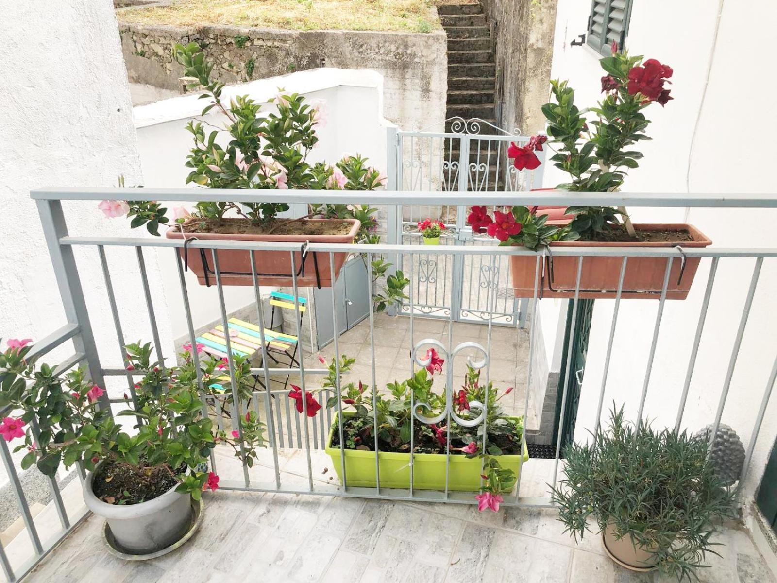 Amalfi Coast Casa Vacanze Marino Tramonti Eksteriør billede